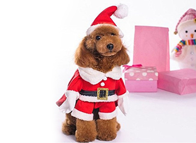 Mogoko Dog Cat Pet Christmas Costume Santa Claus Suit Clothes with a Cap 